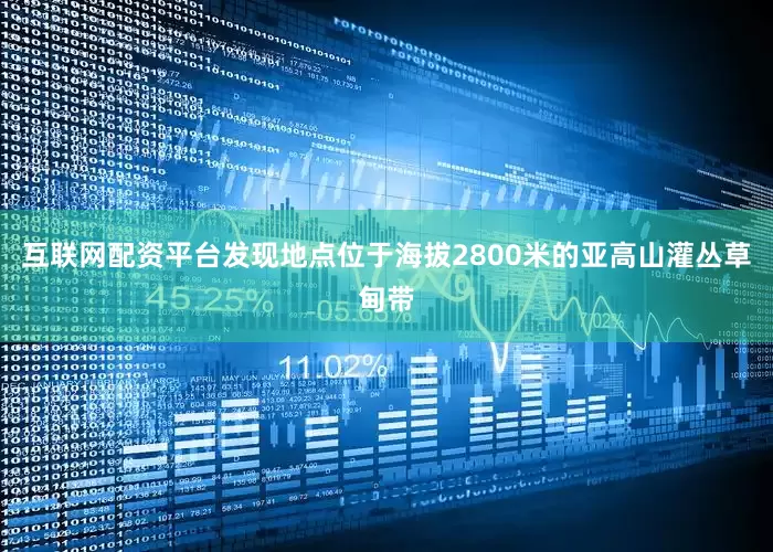 互联网配资平台发现地点位于海拔2800米的亚高山灌丛草甸带