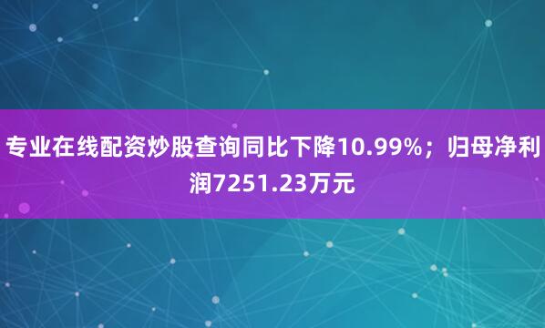 专业在线配资炒股查询同比下降10.99%；归母净利润7251.23万元