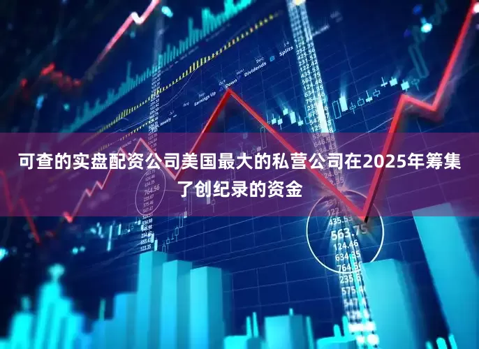 可查的实盘配资公司美国最大的私营公司在2025年筹集了创纪录的资金