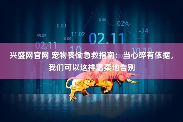 兴盛网官网 宠物丧恸急救指南：当心碎有依据，我们可以这样温柔地告别