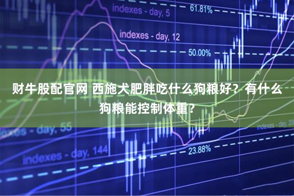 财牛股配官网 西施犬肥胖吃什么狗粮好？有什么狗粮能控制体重？