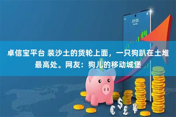 卓信宝平台 装沙土的货轮上面，一只狗趴在土堆最高处。网友：狗儿的移动城堡