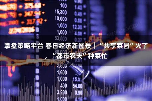 掌盘策略平台 春日经济新图景｜“共享菜园”火了，“都市农夫”种菜忙