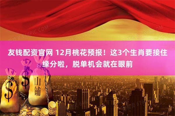 友钱配资官网 12月桃花预报！这3个生肖要接住缘分啦，脱单机会就在眼前