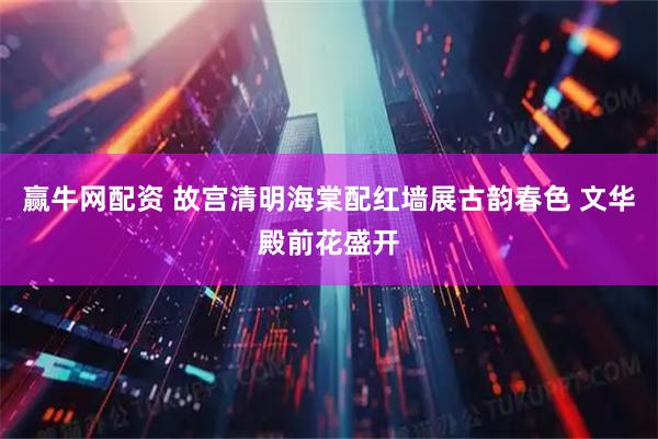 赢牛网配资 故宫清明海棠配红墙展古韵春色 文华殿前花盛开