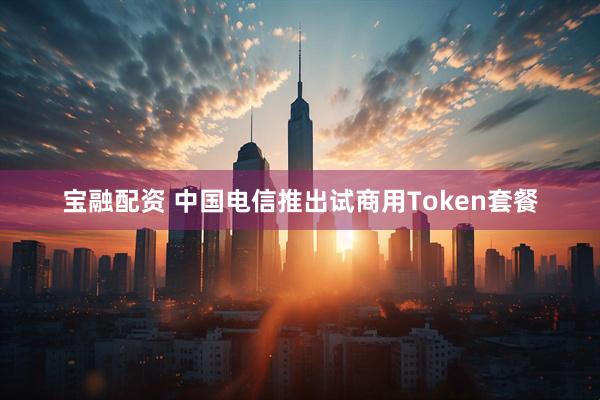 宝融配资 中国电信推出试商用Token套餐